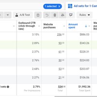 Retargeting ads with look-alike audiences