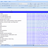 Manual  Research Instagram leads