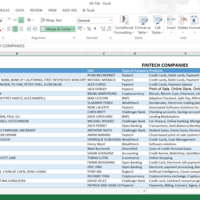 Fintech Companies and Information
