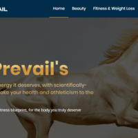 On-Page and Off-Page SEO For Wellvailn