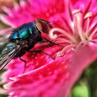 Portfolio Thumbnail 12