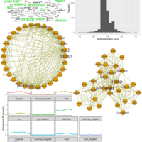Text Network and Sentiment Analysis. Twitter Mining Project