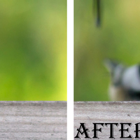 Portfolio Thumbnail 4