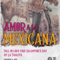 Portfolio Thumbnail 16