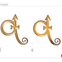 Raster  to Vector