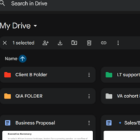 Google Folder Management