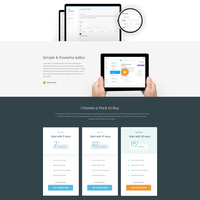 Saas Theme