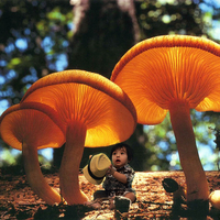 Sample Photo Editing