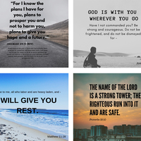 Created designs using Canva