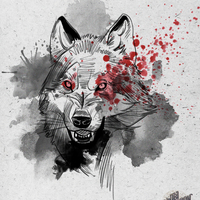 Portfolio Thumbnail 9