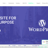 Our WordPress Services