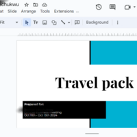 TRAVEL PLAN PRESENTATION