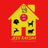 Portfolio Thumbnail 11