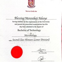 Degree ce