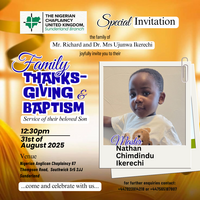 Portfolio Thumbnail 5