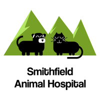 Portfolio Thumbnail 6