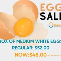 Portfolio Thumbnail 8