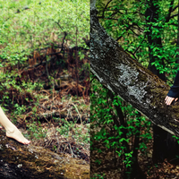 Photo Retouching and Enhancement