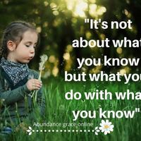 Portfolio Thumbnail 1