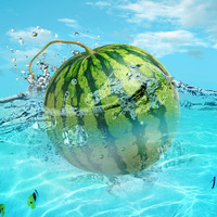 Portfolio Thumbnail 29