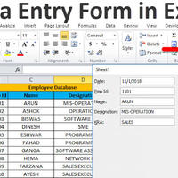 Data Entry Form in Excel