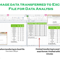 Data Transfer from IMAGE to Microsoft Excel/Google Sheets