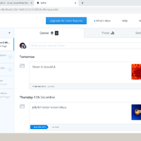 Social Media Management
