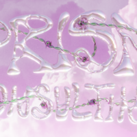Portfolio Thumbnail 2