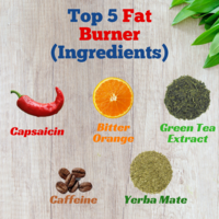 Fat Burners Infographic