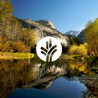 ODB Website-1