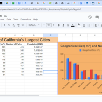 Internet Research/Data Entry