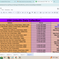 USA Leads  data entry 
