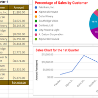 SalesReport MS Office