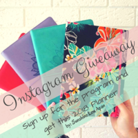 Canva Made Promotional Flyer