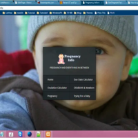 Client Site in WordPresss