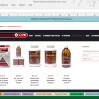 Website Audit Project for protrainerlive.ca