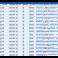 I generated verified leads for a personal coach 