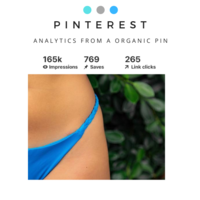 Pinterest Top Pin (SEO)