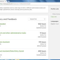 Work History and Background