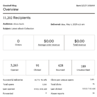 Summary Report of an Email Campaign 