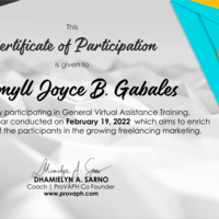 Professional Virtual Assistant Certificate