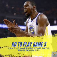 Portfolio Thumbnail 7