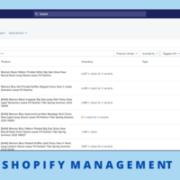 Shopify Management