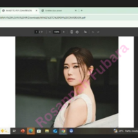 After Conversion to PDF