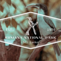 I will design a hand drawn vintage logo
