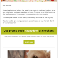 Klaviyo Birthday email copywriting and design