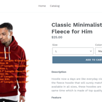 Ecommerce Shopify Management