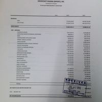 Income Statement