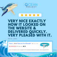 Portfolio Thumbnail 8