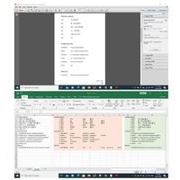Data Entry -PDF to Excel